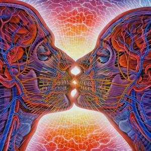 Meet your Posher, Alfredo